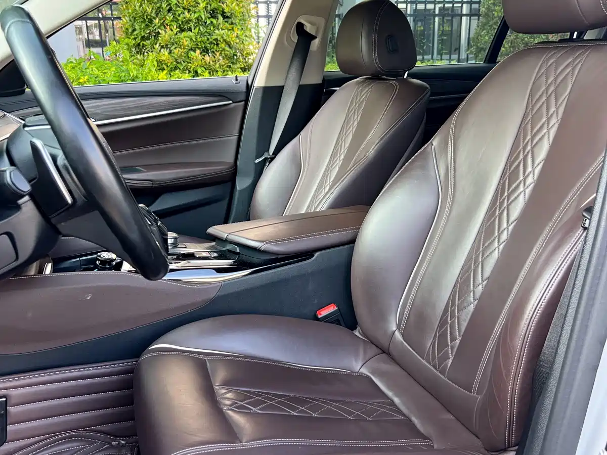 BMW 5 Series 2019 530Li Leading Luxury Package фото 4