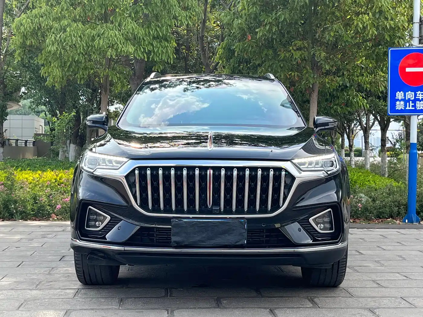Hongqi HS5 2022 Facelift 2.0T Smart Flag Enjoyment AWD Edition фото 2