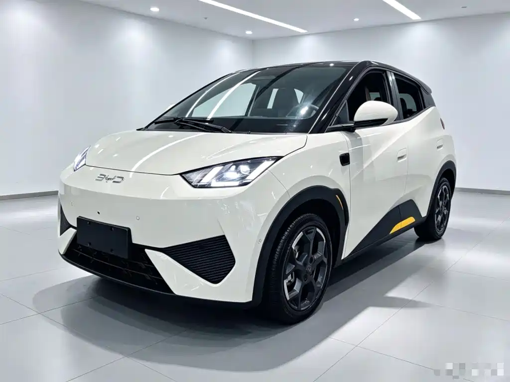 BYD Seagull 2025 — пригон из Китая