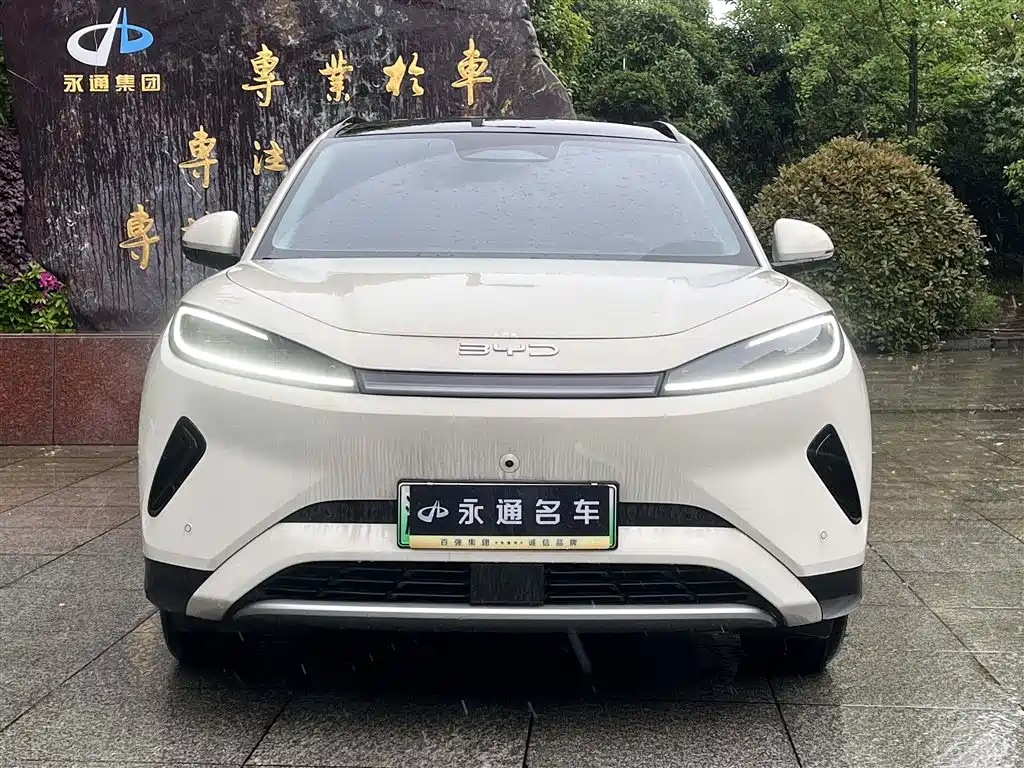 BYD Hai Shi 05 EV 2025 520KM Smart Navigation Edition фото 2