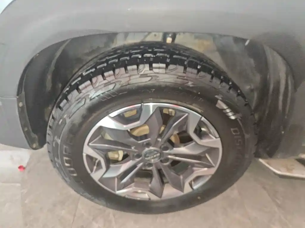 Фото 23 - Haval Dargo