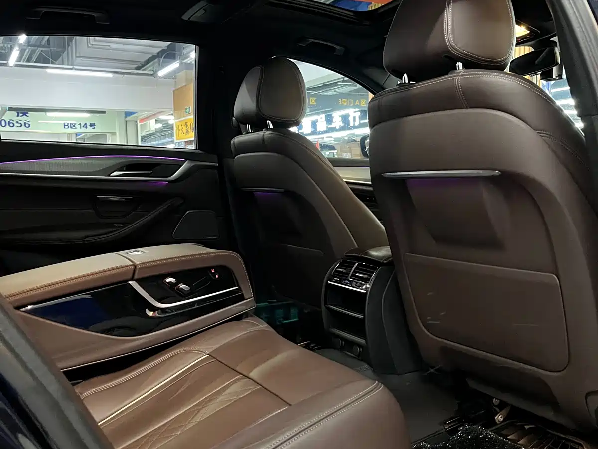 BMW 5 Series 2019 530Li xDrive Luxury Package фото 13