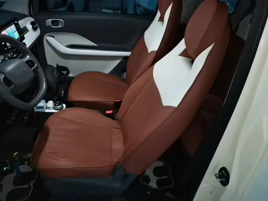 Geely Galaxy Panda 2025 Panda mini 210km Vitality Bear фото 15
