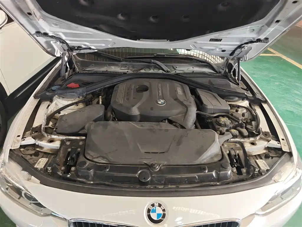 BMW 3 Series 2018 320Li Fashion Style фото 17
