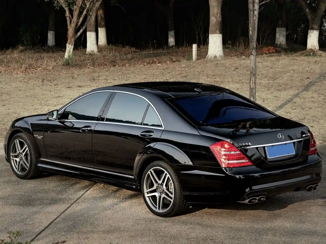 Mercedes-Benz S-Class AMG 2013 AMG S 65 L Grand Edition фото 5