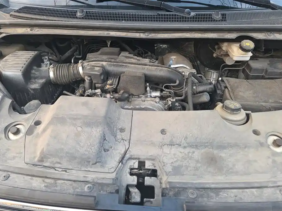 SAIC MAXUS CHASE G20