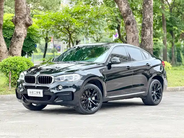 BMW X6 2019