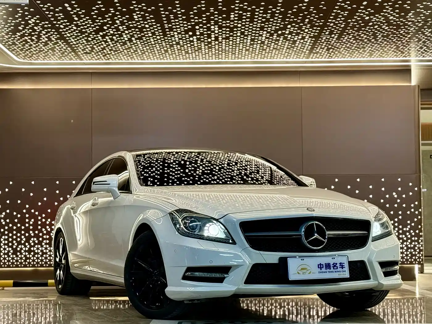 Mercedes-Benz CLS 2012 CLS 300 CGI фото 3