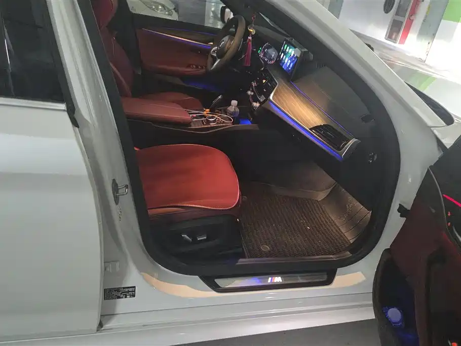 BMW 5 Series 2022 530Li Leading M Sport Package фото 8