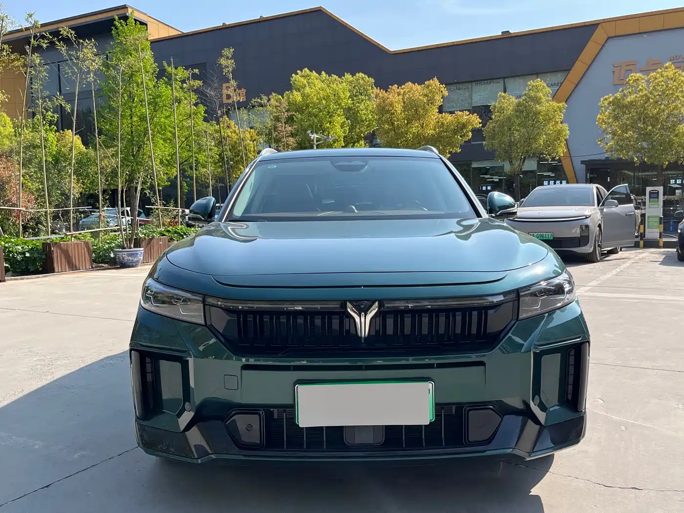 Voyah Auto VOYAH FREE 2024 Ultra Long Range Intelligent Driving Edition фото 2