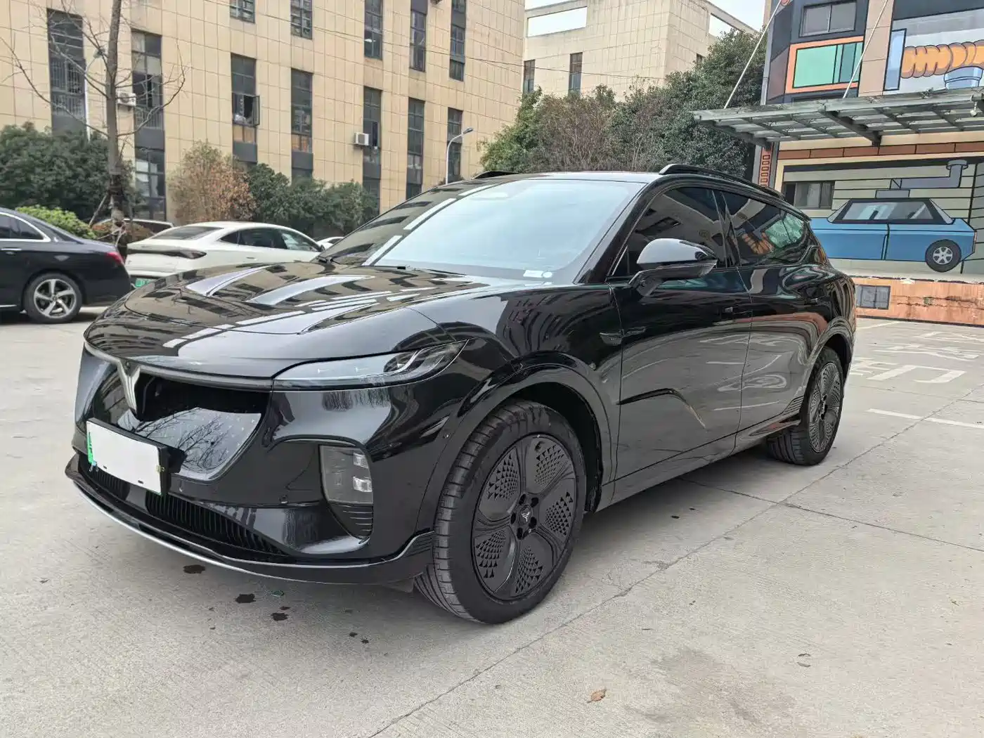 Voyah Auto Voyah Zhiyin 2024 4WD Global Edition