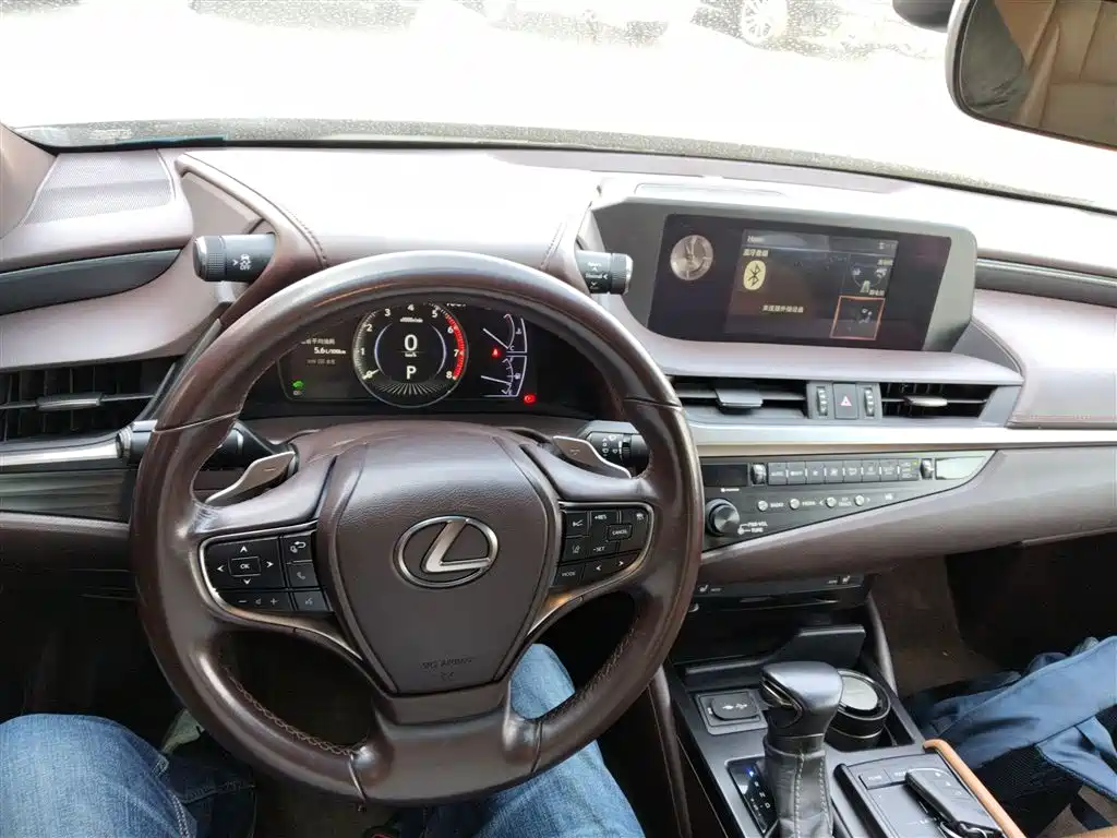 Lexus ES 2018 300h Excellence Edition China V фото 10