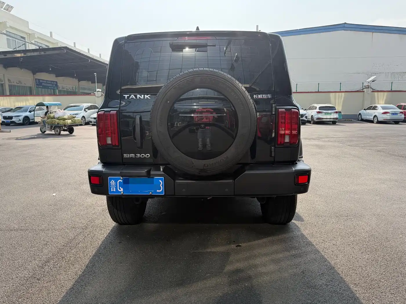 Tank 300 2023 Off-Road Edition 2.0T Conqueror фото 2