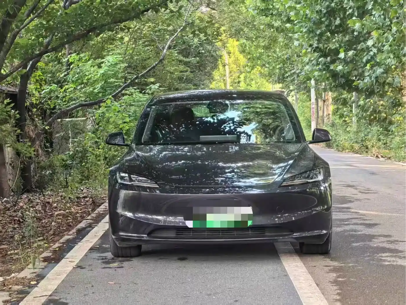 Tesla Model 3 2025 2025 Model Rear-Wheel Drive Edition
