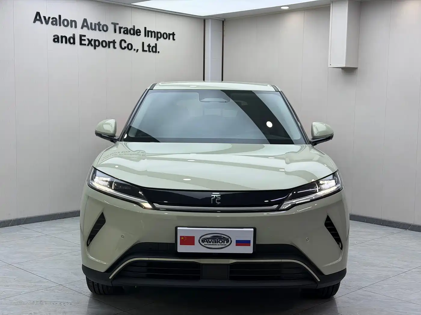 BYD Yuan UP 2025 2025 Smart Drive Edition 401KM Vitality Version