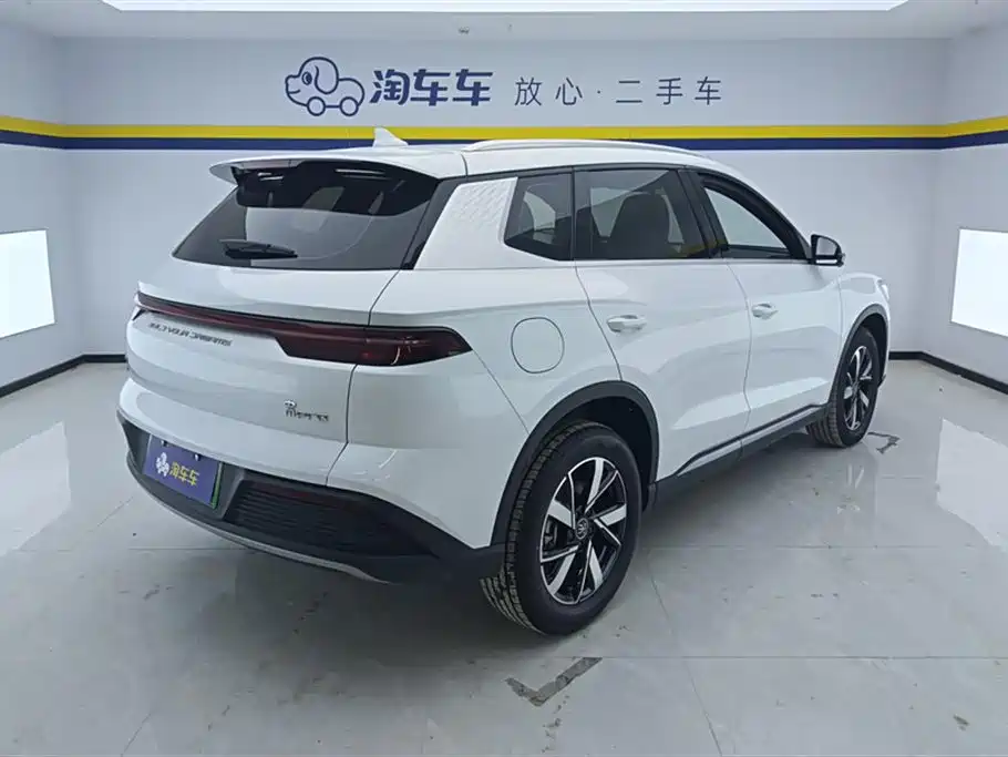 BYD Song Pro New Energy 2024 Glory Edition DM-i 71KM Pilot фото 3