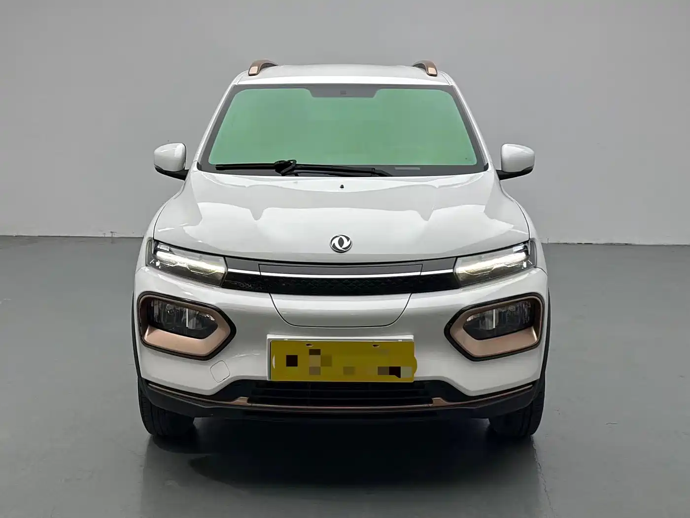 Dongfeng Yipai Nano BOX 2024 2022 Breeze Edition 201KM Lightning