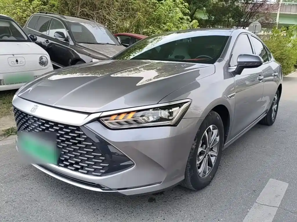 BYD Qin PLUS 2024 Glory Edition DM-i 55KM Leading
