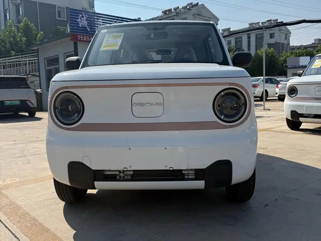 Geely Galaxy Panda 2026 2024 Panda mini 200km Endurance Bear