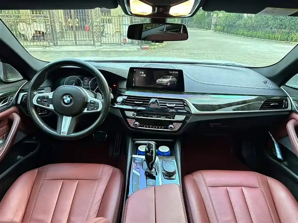 BMW 5 Series 2019 530Li Leading M Sport Package фото 9