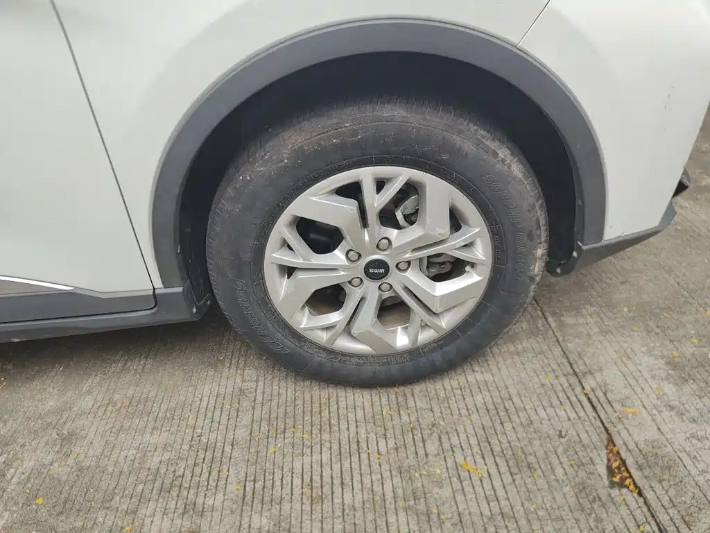 SWM Motor SWM G05 2019 2019 2.0L Manual Luxury Model