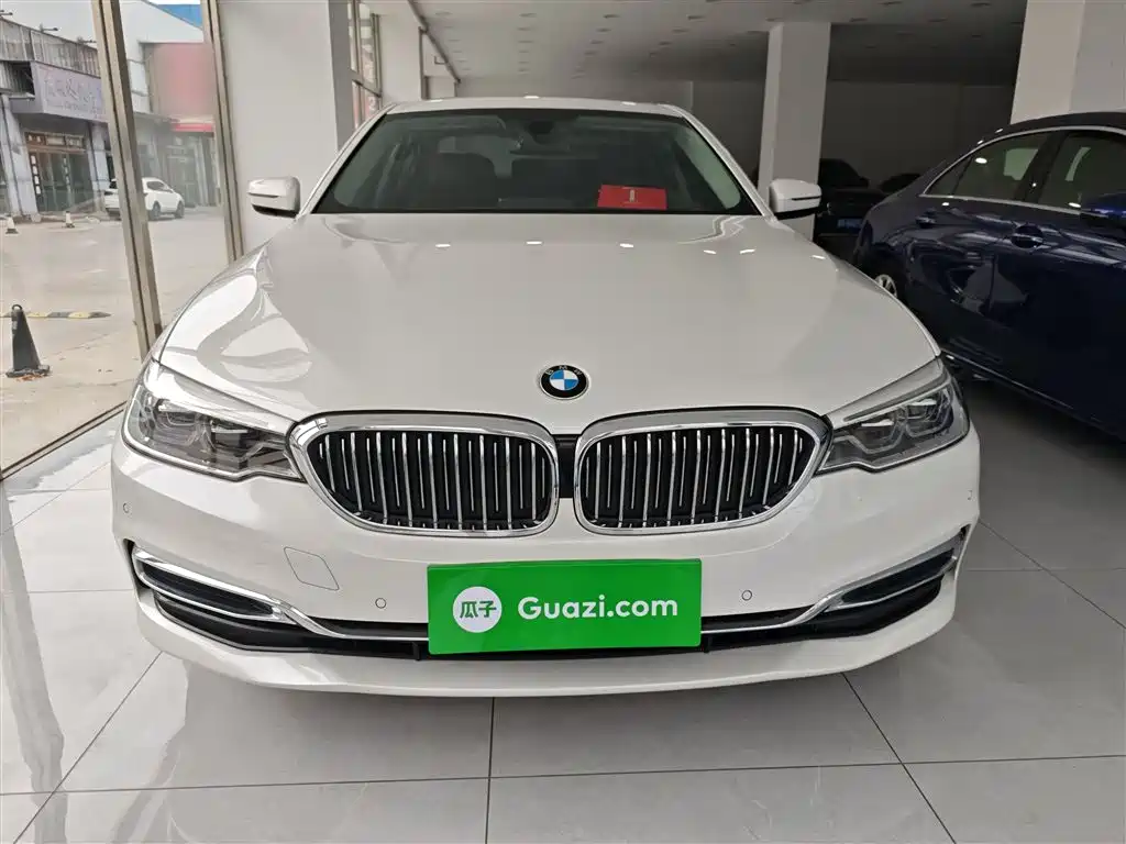 BMW 5 Series 2020 530Li Leading Luxury Package фото 19