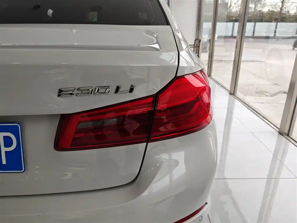 BMW 5 Series 2020 530Li Leading Luxury Package фото 24