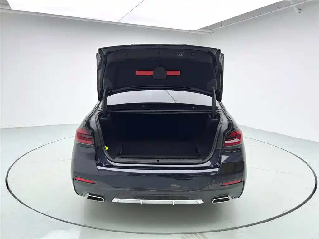 BMW 5 SERIES NEW ENERGY