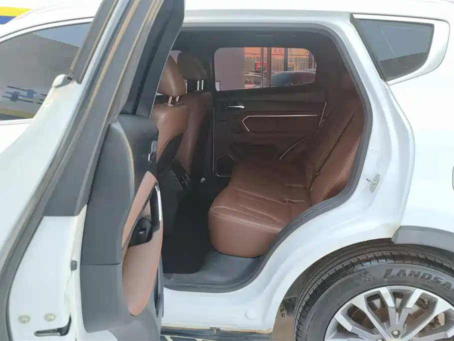 Haval H6 2017 Blue Label 2.0T Auto 2WD Leader фото 11