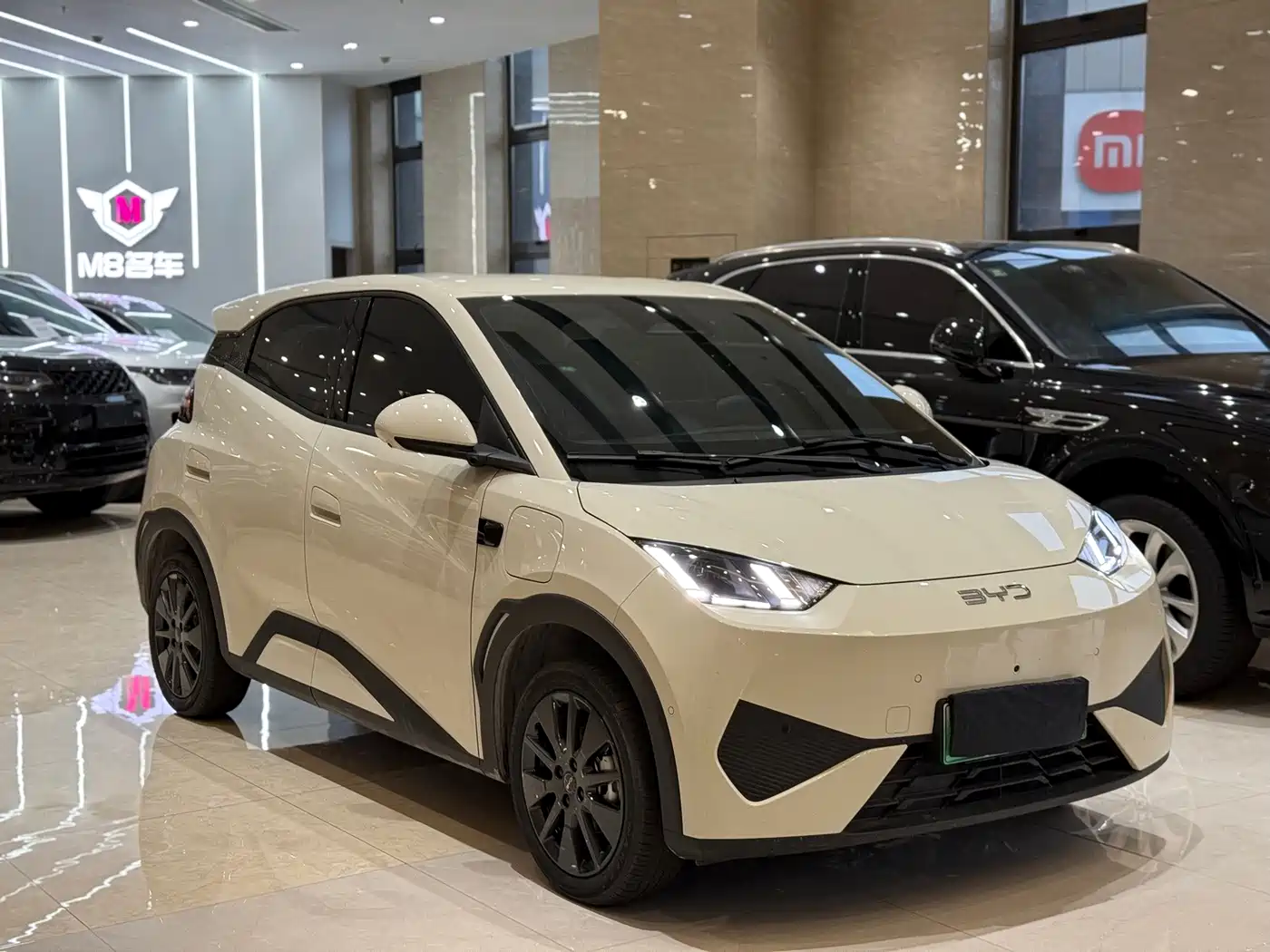 BYD Seagull 2026