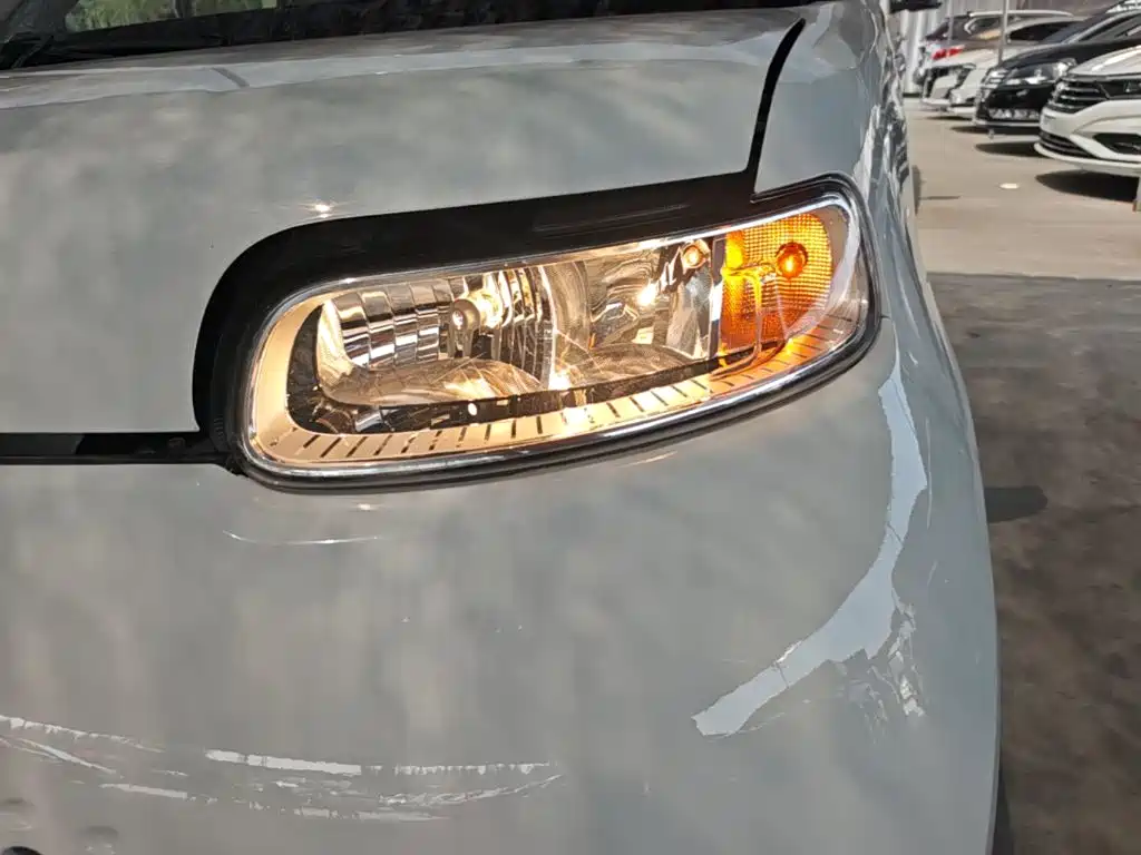 Ora White Cat 2022 2022 Upgraded 305km Luxury (NMC)