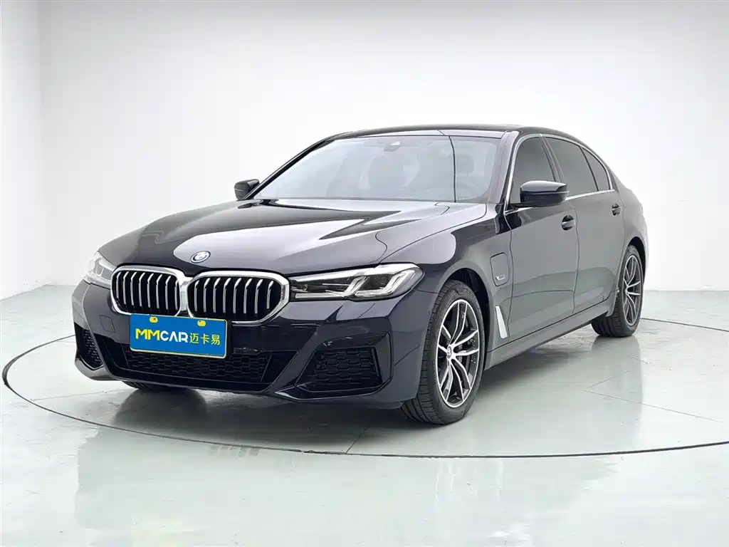 BMW 5 SERIES NEW ENERGY