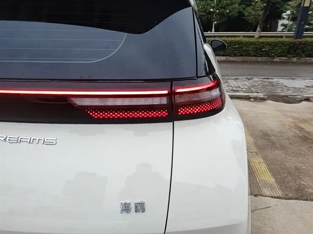 BYD Seagull 2024 Glory Edition 305km Freedom Edition фото 8