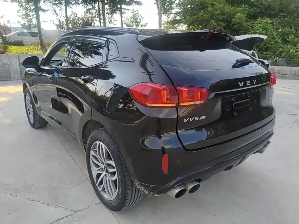 WEY VV5 2017 2017 2.0T Super Luxury Model