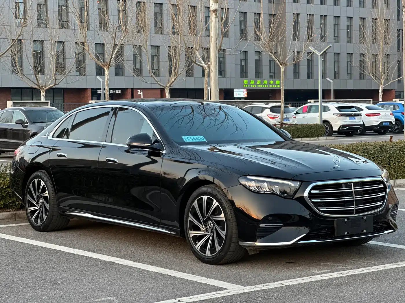 Mercedes-Benz E-Class 2025 E 300 L Luxury фото 3
