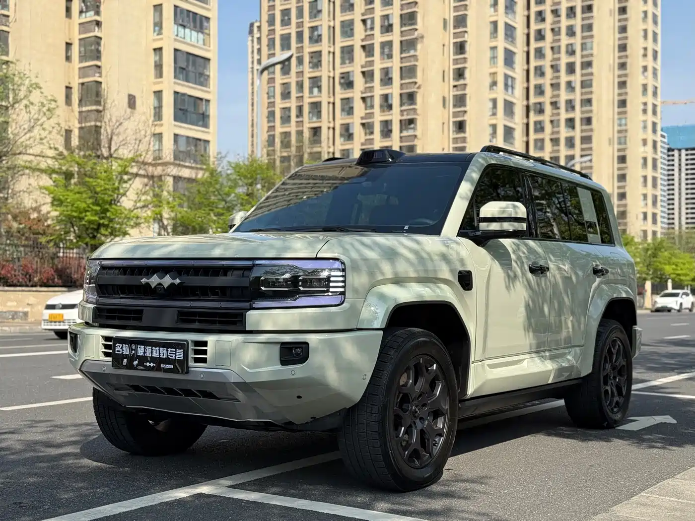 FANG CHENG BAO LEOPARD 5