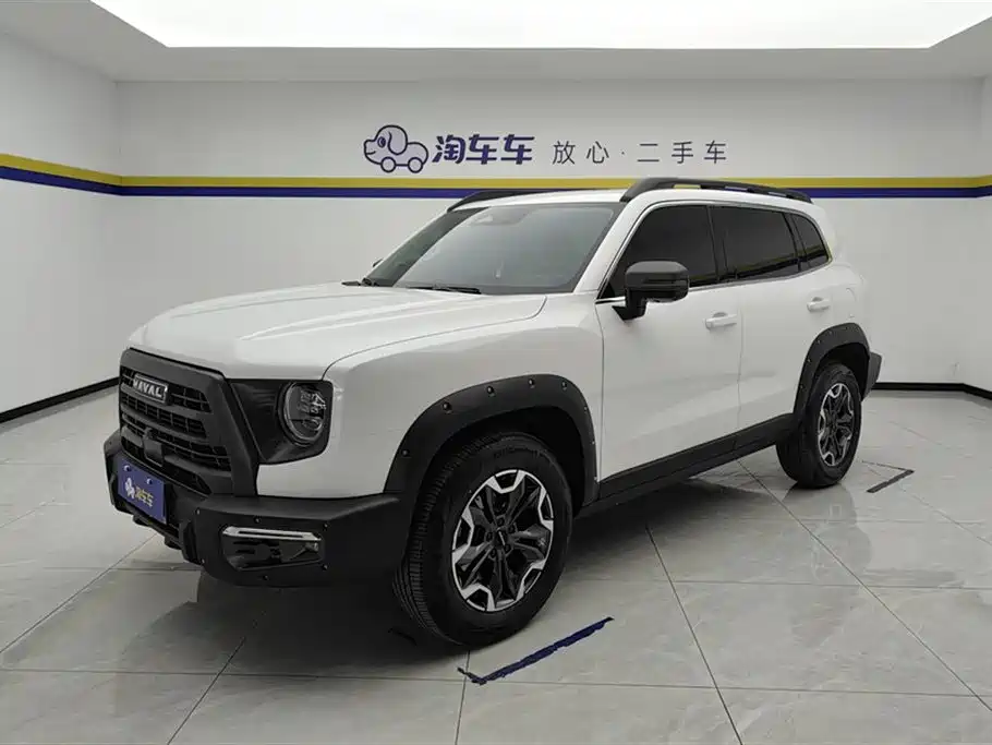 Haval Big Dog 2024 2.0T DCT Chinese Rural Dog Edition