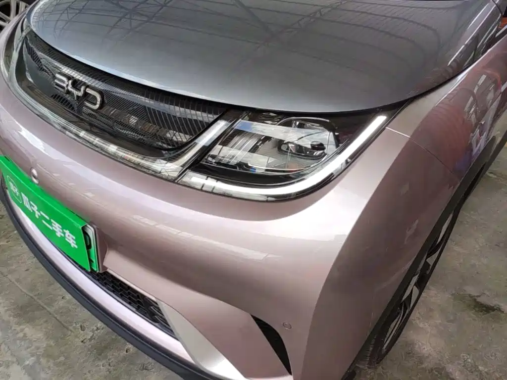 Photo 24 - BYD Dolphin