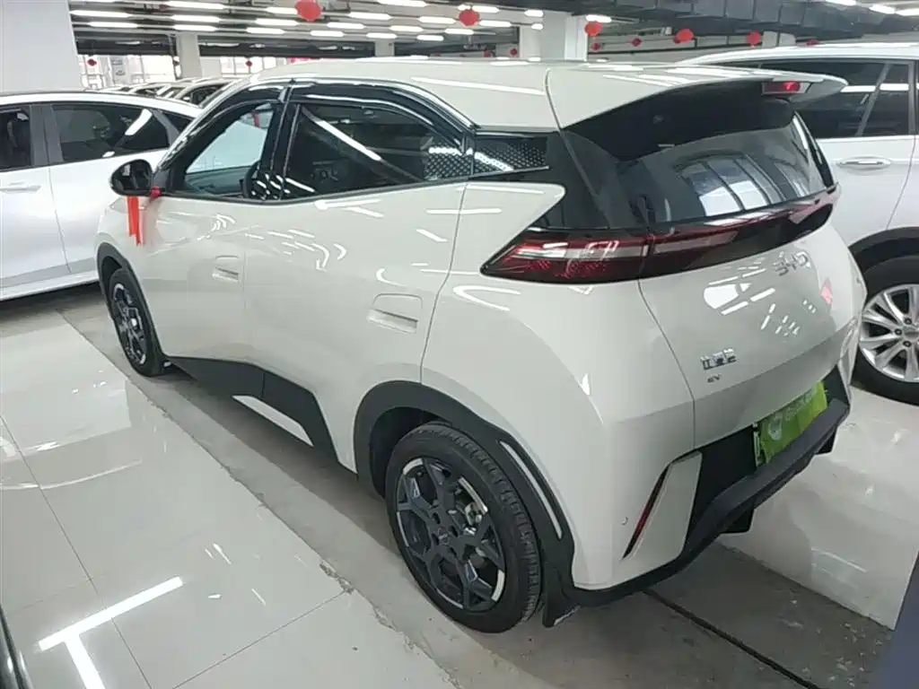 BYD Seagull 2025 305km Freedom фото 5