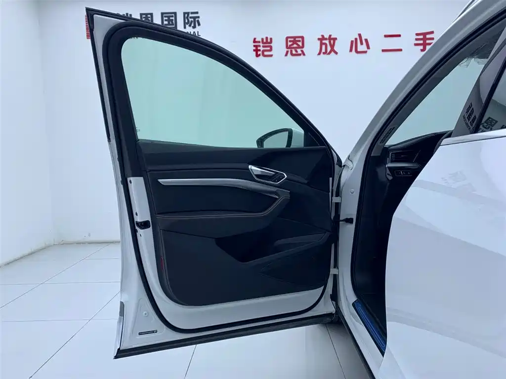 Audi e-tron 2021 50 quattro Luxury фото 29