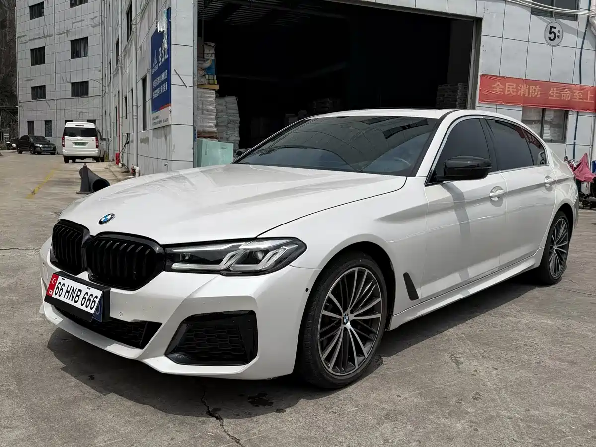 BMW 5 Series 2020 530Li Leading M Sport Package