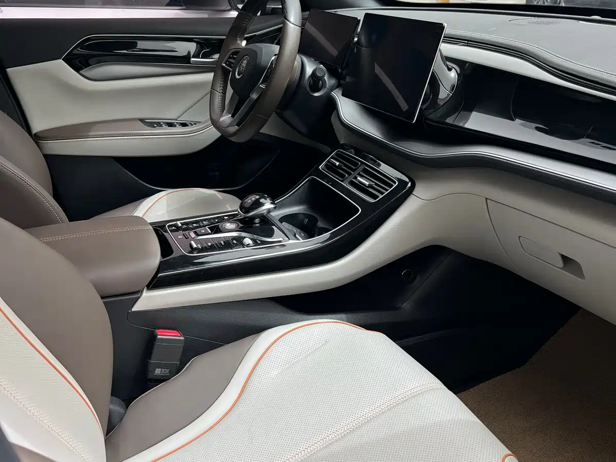 BYD Qin PLUS 2023 Champion Edition DM-i 120KM Excellence фото 7