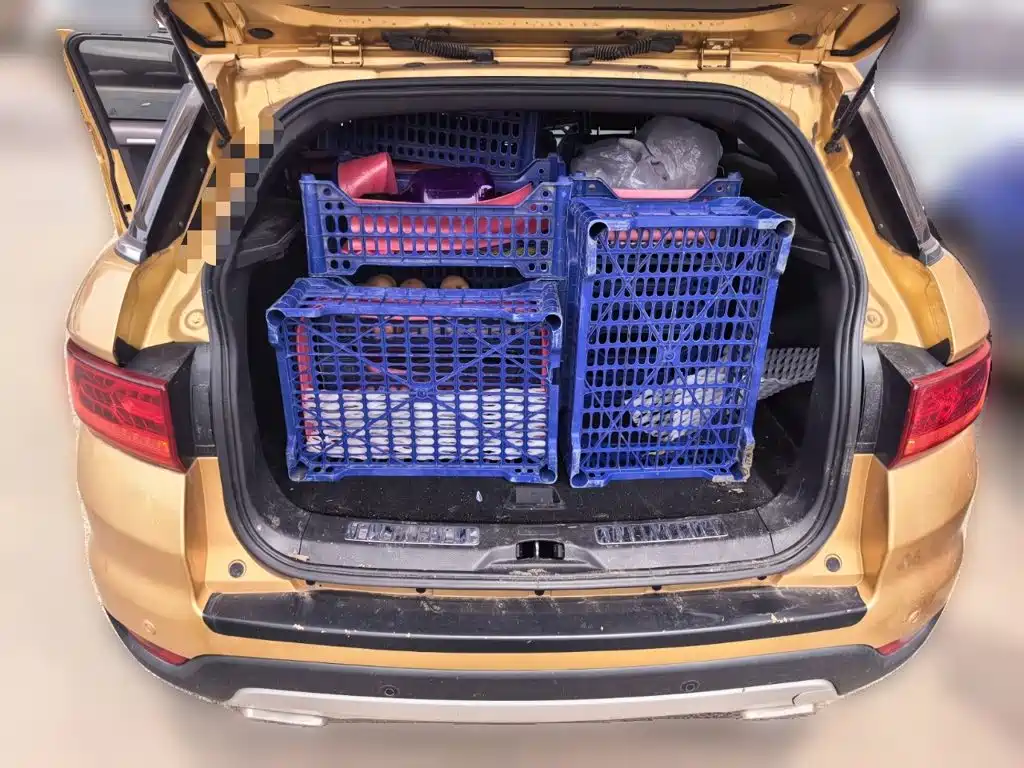 Фото 15 - Landwind X7
