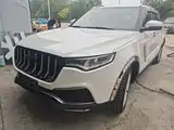 صورة 2 - Zotye T700