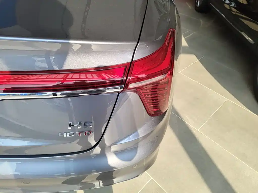 Фото 8 - Hongqi H5