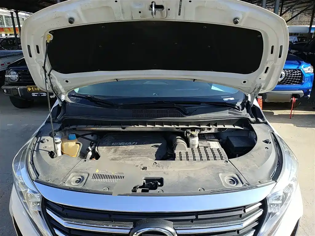 GAC Trumpchi Trumpchi M8 2021 Facelift Leading Series 390T Luxury Edition фото 10