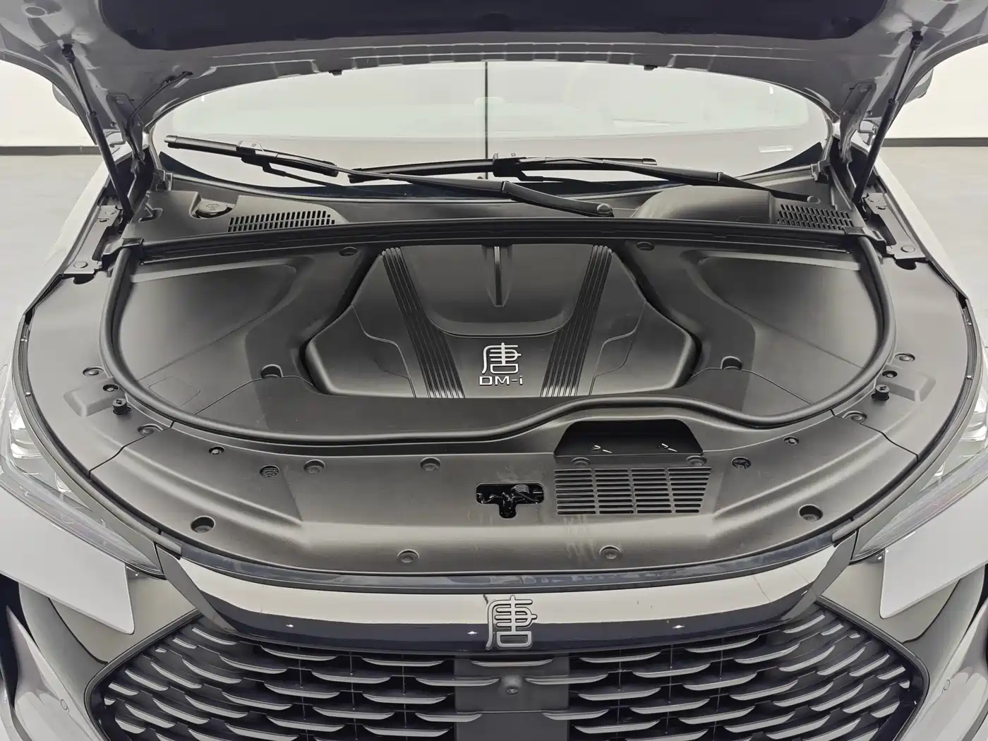 BYD Tang New Energy 2025 Smart Driving Edition DM-i 115KM Flagship фото 11