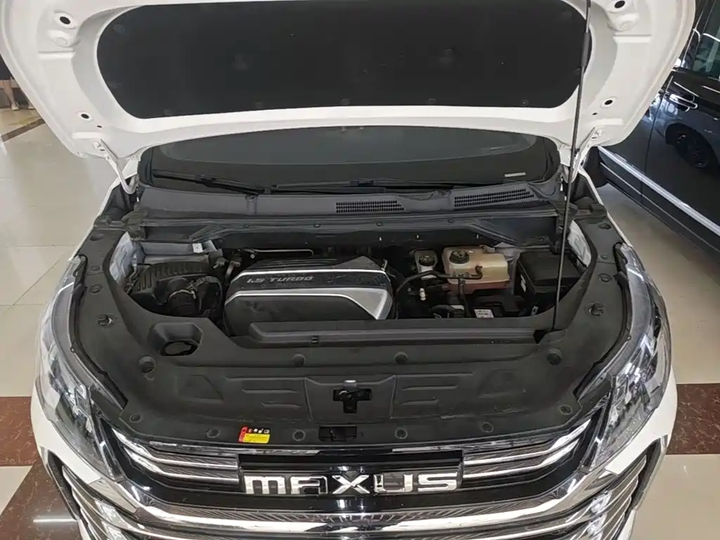 Фото 20 - Maxus Maxus G50