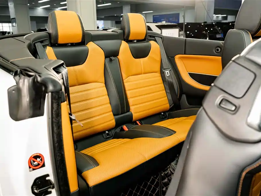 Land Rover Range Rover Evoque (Import) 2017 2.0T Convertible фото 25