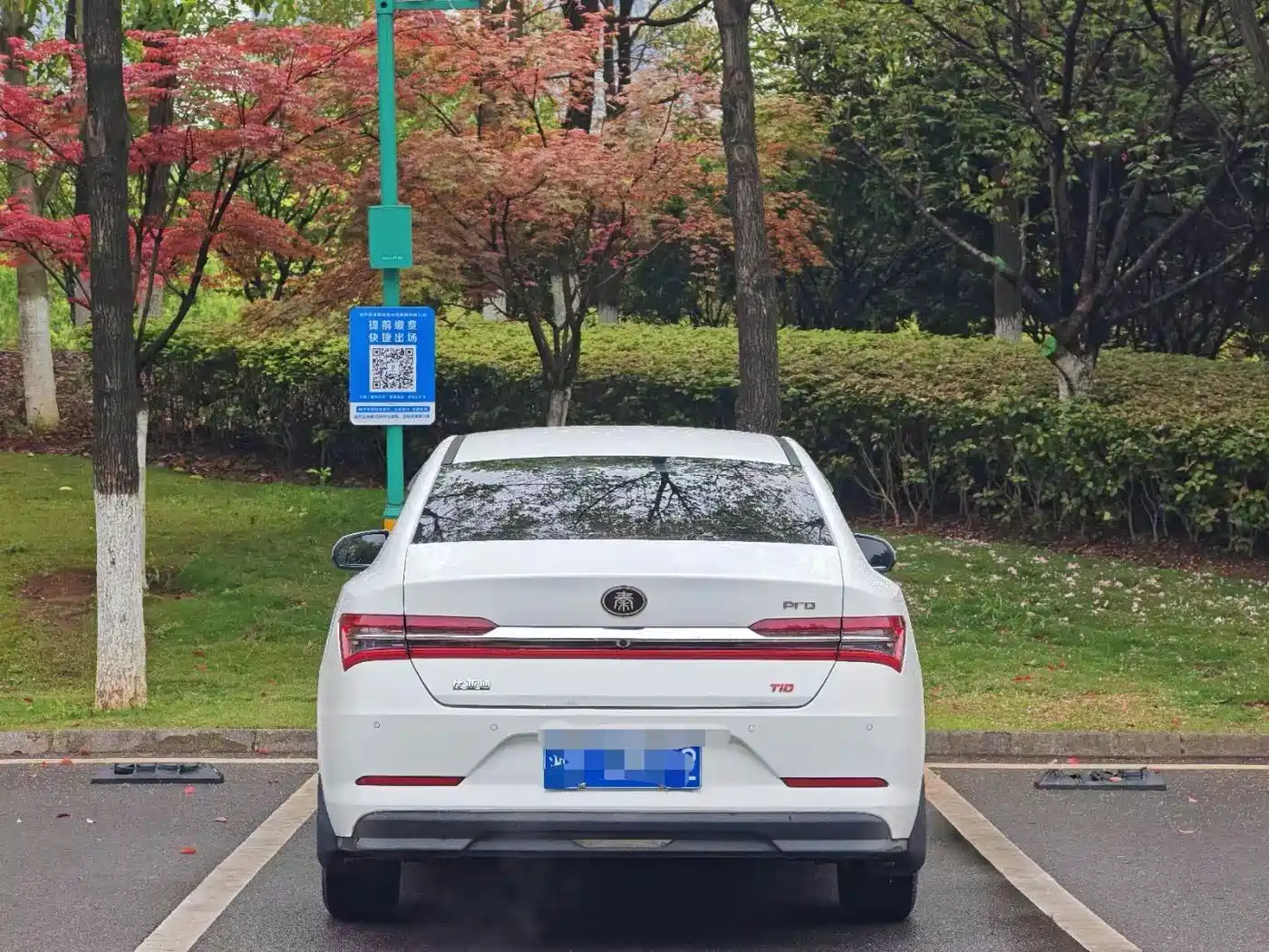 BYD Qin 2020 2019 1.5L Automatic Prestige